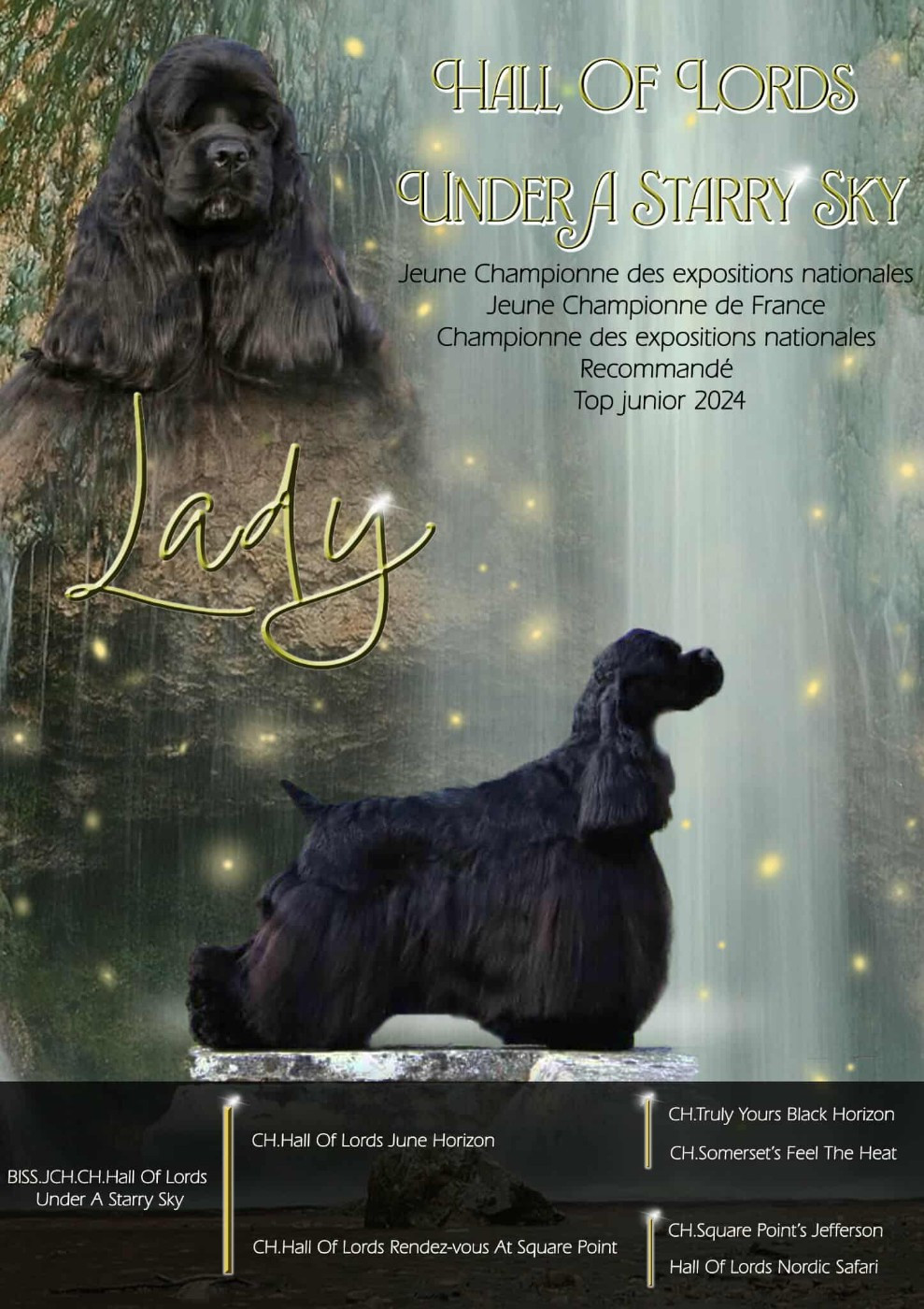 CH. Hall Of Lords Under a starry sky