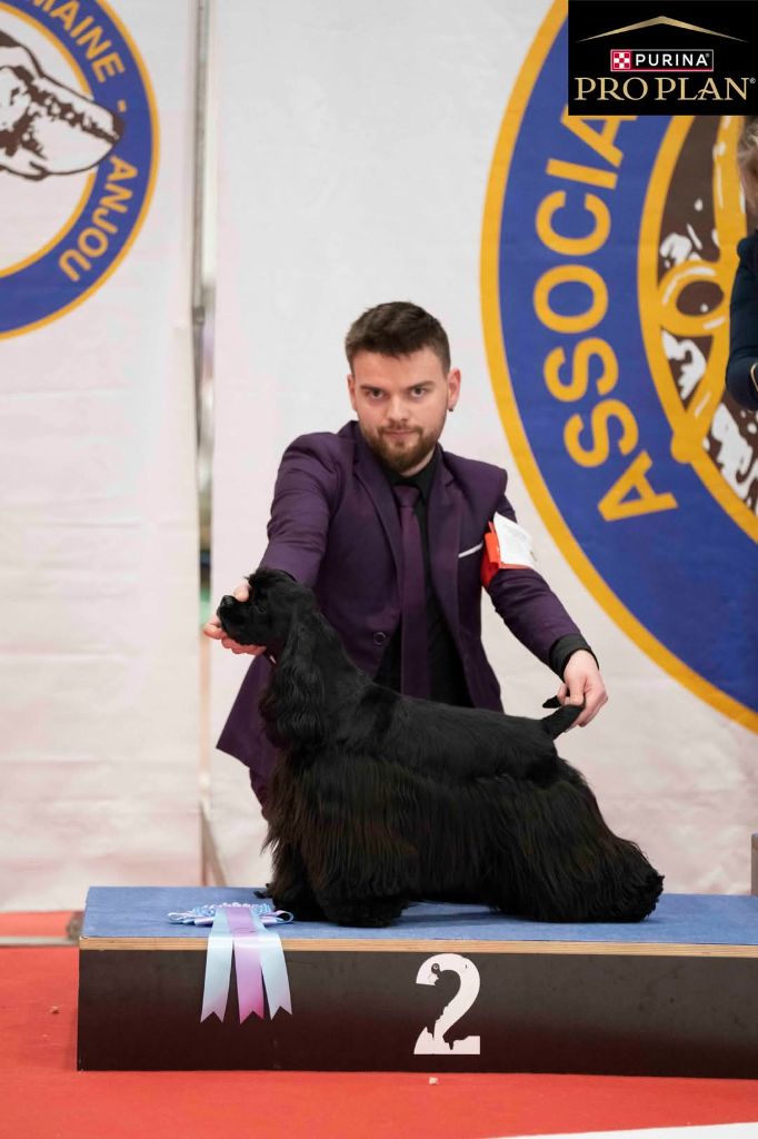 Victory with pride Of Love Show
