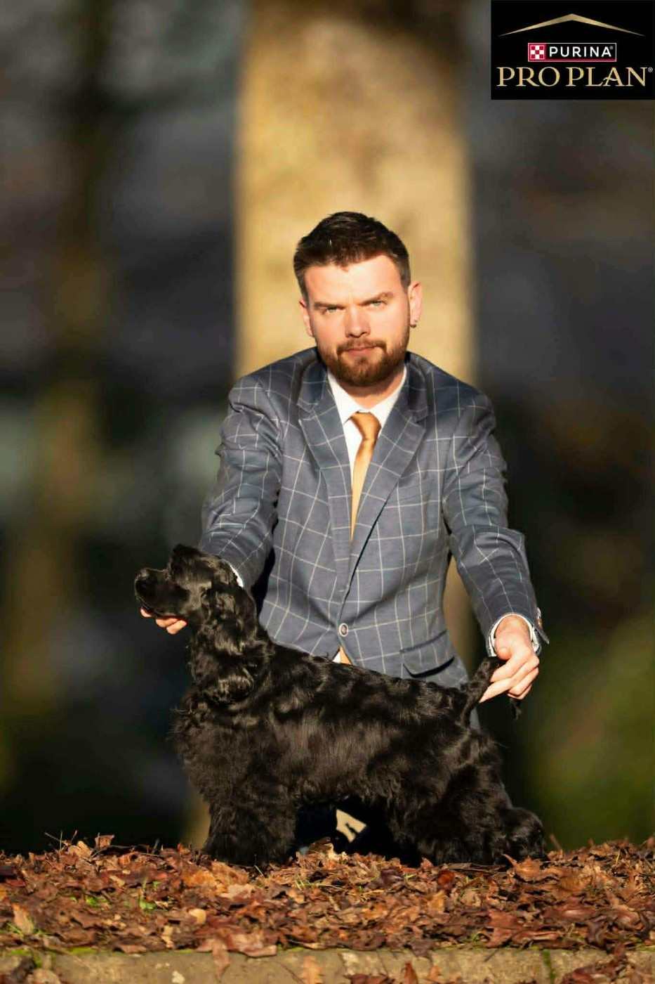 Alpine star Of Love Show