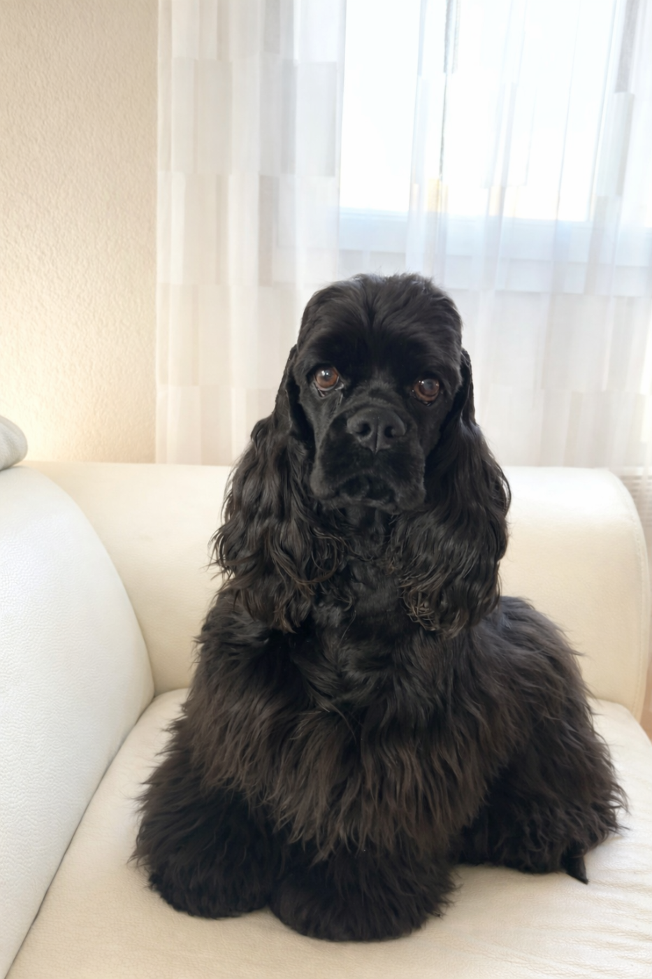 Ashley tisdale Of Love Show